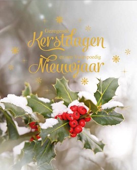 Kerstkaarten 9531